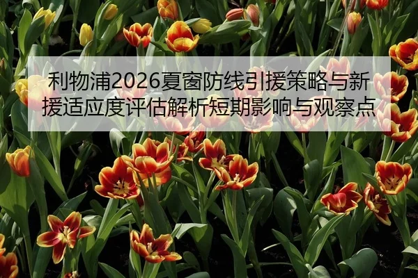 利物浦2026夏窗防线引援策略与新援适应度评估解析短期影响与观察点
