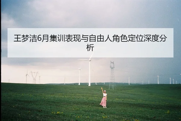 wang-meng-jie-yue-ji-xun-biao-xian-yu-zi-you-ren-jue-se-ding-wei-shen-du-fen-xi-2-569.jpg